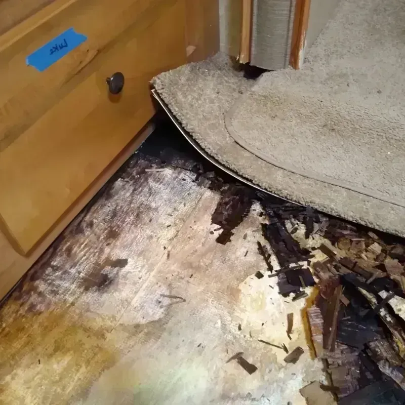 Wood Floor Water Damage in Conley, GA